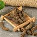 Valerian Root Valerian the Valerian Root the Valerian radix Valerianae the Radix Valerianae valeriana Officinalis Rhizome the Valeriana Officinalis Rhizome xiecaogen (1000 g(2.20 Pound)) 1 count (Pack of 1) - Buy Online on GoSupps.com