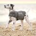 Thundershirt for Dogs X-Large Grey Grey XL - Buy Online on GoSupps.com