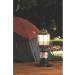Coleman 2000007111 Propane Lantern - Powerful Outdoor Lighting Solution - Buy Online on GoSupps.com