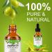 100% Pure Jojoba Oil for Hair Growth - Cold Pressed Unrefined Essential Oil for Skin & Nails Dry Skin Relief Makeup Remover | 2.02 fl. oz - Buy Online on GoSupps.com