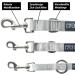 Buy Kuri Pai 3m Dog Leash for Medium Dogs - Comfortable Sustainable Bamboo Design | Gray | 280cm x 2.0cm - Buy Online on GoSupps.com