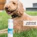 Mighty Mutt Hypoallergenic Waterless Shampoo for Dogs - Dry Foam Anti-Itch Relief | No Rinse Soothing & Deodorizing | Fresh Breeze 8oz - Buy Online on GoSupps.com