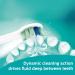 Philips Sonicare 2 Series Plaque Control Electric Toothbrush HX6211/04 - Rechargeable - Buy Online on GoSupps.com
