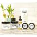 Earthley Wellness Eye Serum | Smooth Wrinkles, Nourish Skin, Banish Dark Circles | Youthful Eyes | Reduce Fine Lines | Paraben and Fragrance Free (15 ml) - Buy Online on GoSupps.com