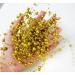 50 Pcs Gold Faux Pearl String for Wedding Centerpieces | Vase Filler for Floating Candles and Parties - Buy Online on GoSupps.com