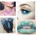 12 Colors Lvzongxin Glitter Face & Body Powder - 60ml Festival Makeup Nail & Hair Glitter for Masquerade & DIY Crafts - Buy Online on GoSupps.com