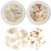 FRCOLOR 2 Boxes Nail Shell Decoration Nail Charms Christmas Charms for Nails Nail Decor Mariposas Decorativas Para Pared Christmas Decor Nail Art Small Gems Decorations Miss Manicure