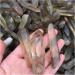 Natural Crystal Rough Natural Crystal Rough 2.2LB 1KG Raw Natural Smoke Citrine Quartz Crystal Original Points Rough Stone - Buy Online on GoSupps.com