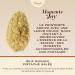 Venchi - uf Mignon au Chocolat la Pistache Sal e 70 Gr avec de gros clats de Pistaches Torr fi es Sans Gluten Collection de P ques Venchi Id e Cadeau - Buy Online on GoSupps.com