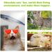 100ml Herbal Cat Joy Spray Herbal Cat Joy Celery Pets Catnip Spray for Cats Cat Scratching Spray Mist Cat Training Spray with Catnip Catnip Spray for Indoor Cats Cat Nips Spray for Cat Anxiety Relief - Buy Online on GoSupps.com
