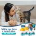 Buy VICSOM Cat Calming Diffuser Kit - 6-in-1 Pheromones for Anxiety Relief 120 Days of Stress Relief Includes 2 Diffusers & 4 Refills - International Shipping Available - Buy Online on GoSupps.com
