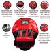Cleto Reyes Curved Mitts with Hook and Loop Closure - Top Quality Training Gear - Buy Online on GoSupps.com