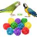 Anteer 12 Pack Bird Parrot Swing Chewing Toys - Hanging Bell Cage Toys for Small Parakeets, Cockatiel, Conures, Finches, Budgie, Macaws, Parrots, Love Birds - Buy Online on GoSupps.com
