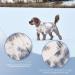 Cit toile Warm Winter Dog Sweater | Soft Knitted Turtleneck Pet Coat for Cold Weather | Color Gradient Design for Small & Medium Dogs | Blue XS X-Small - Buy Online on GoSupps.com