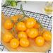 OUNONA Simulated Small Tomatoes Models Cherry Tomatoes Decor Photography Props Artificial Cherry Tomatoes Model Faux Fruit Decor Realistic Party Decor Foam Fake Fruit Window Yellow 4.00X2.00X2.00CM - Buy Online on GoSupps.com