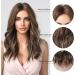 HAIRCUBE Brown Curly Synthetic Wig with Blonde Highlights for Women - Buy Online on GoSupps.com