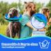 Buy FWLWTWSS Inflatable Dog & Cat Recovery Collar - Adjustable Velcro Leak Protection Blue L (30.5cm-45.7cm) - Buy Online on GoSupps.com