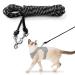 Extra Long Cat Lead for Garden 4.5M/15FT Lightweight Outdoor Cat Leash Long Light Extension Long Thin Lead for Rabbits Kitten Puppy and Small Animals