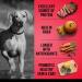 Zoe Grain Free Dog Food All Breed & Life Stages Beef with Peas & Pumpkin Recipe 5 kg Beef 5 kg (Pack of 1) - Buy Online on GoSupps.com