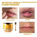 Bee Lip Balm Set: Hydrating Honey Pot Lip Mask with Propolis for Dry, Cracked Lips - 2 Pcs - Buy Online on GoSupps.com