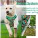 Premium Heele Dog Crockery & Adjustable Reflective Harness for Medium Dogs - Comfortable Padded Design in Flower Grass Green - Buy Online on GoSupps.com