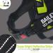 Pawpawify Durable Dog Harness for Pulling - Personalized Name & Phone Training & Walking M (24-31in) - Ideal for Doodles - Buy Online on GoSupps.com