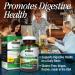 Nature's Answer Senna Leaf - Vegan Digestive Health Supplement | 90 Vegetarian Capsules | Gluten-Free & Kosher Certified - Buy Online on GoSupps.com