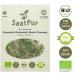SaatPur ORGANIC Sprouts Assortment | 4 Superfood Varieties: Broccoli Alfalfa Kale Basil - Shop Internationally! - Buy Online on GoSupps.com