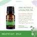 SpaRoom Breathe Easy Essential Oil Blend - 10ml (0.33 fl oz) - Made in USA - Buy Online on GoSupps.com