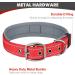 Joytale Extra Large Dog Collar - Softly Padded Neoprene Nylon Reflective Wide Collar for XL Dogs Red - 1 Pack - Buy Online on GoSupps.com