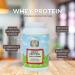 Premium Vanilla Whey Protein Powder - 26g Protein Calcium Rich 28.3 oz - Made in USA FDA Registered Facility - Buy Online on GoSupps.com