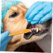 NOLITOY 20 pcs Oral Supplies for Dual-head Teeth Cleaning Pets Small Handheld Puppy Brush Pet Dog - Buy Online on GoSupps.com