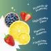 BeLive Kids Prebiotic Probiotic Gummies - High Strength Inulin, Digestive Support (60 Ct) - Strawberry, Lemon, Blueberry Flavor - Buy Online on GoSupps.com
