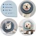 Blue Cat Cone Recovery Collar for Small, Medium, Large Dogs & Cats | Waterproof & Comfortable Anti-Bite Cone After Surgery | Lick & Wound Healing Protection - Buy Online on GoSupps.com