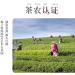 Pu-erh tea 2022 Nahan old tree 357g Raw - Buy Online on GoSupps.com