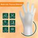 Mira Pak Disposable Clear Vinyl Gloves Box of 100|Perfect for Food Prepping/Dish Washing/Cleaning/Cooking|Single Use Only M (100 Count) - Buy Online on GoSupps.com