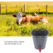 Nachukan 8L Milk Feed Bucket & Feeder Bucket - Plastic with Nipples & Check Valves - Premium Milk Feeding Tool & Livestock Accessory for Efficient Livestock Care(For cattle) - Buy Online on GoSupps.com