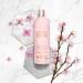 Baylis & Harding Liquid Body Wash Soap - Elements Pink Blossom & Lotus Flower 16.9oz | Luxurious Moisturizing Formula for All Skin Types - Buy Online on GoSupps.com