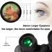 Compact Waterproof 20x50 High Power Binoculars with Low Light Night Vision - Ideal for Bird Watching, Hunting, Travel, Stargazing - BAK-4 Prism, FMC Lens - Adults & Kids (Black) - Buy Online on GoSupps.com
