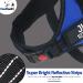Pawpawify Dog Harness for Pulling - Personalized Durable No-Choke Training Harness - XXL Blue (Chest 33-46in) - Buy Online on GoSupps.com
