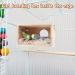 GINDOOR Parakeet Nesting Box - Natural Wood Breeding House for Small Birds - Buy Online on GoSupps.com