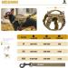 Oneigris Dog Harness and Leash Set | Mini Trooper Puppy Dishes with Control Handle for Extra Small to Medium Dogs - Brown XXS - Buy Online on GoSupps.com