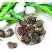 Buy Xiannvxi 2 Blood Stone Crystals - 100% Natural Water Stones & Premium Mountain Crystal Raw Stones | 4pcs 0.5lb N-Blood Stone for Healing - Buy Online on GoSupps.com