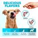 Omega 3 Chews for Dogs - 150Pcs - Dog Skin and Coat Supplement - Rich in EPA & DHA Fatty Acids - Itching Skin Relief Chews - Reduce Hair Shedding - Made with Fish Oil - Chicken - Buy Online on GoSupps.com