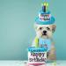 Ushang Pet Birthday Party Set - Blue Cat Happy Birthday Hat with Candles & Bandana Scarfs | Cat Birthday Supplies & Decorations - Buy Online on GoSupps.com