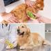Dog Vet Wrap: 8 Rolls Self Adhesive Bandages for Paws - Breathable & Stretchable Fabric for Sprains & Swelling in 4 Colors with Paw Pattern - Buy Online on GoSupps.com