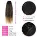 30 Long Curly Drawstring Ponytail Extension - Synthetic Hairpiece for Women (MT4/27#) - Buy Online on GoSupps.com