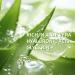 Advance Face Sunscreens SPF 45 + Aloe Vera Gel Repair After Sun Skin Face Suncream Factor 45 Face Repair Redness Skin Non-Greasy Lightweight Deep Hydration UVA/UVB Protection Sooth Waterproof - Buy Online on GoSupps.com
