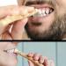 5pcs Organic Toothbrush - Traditional Natural Tooth Stick Breath Freshener | Natural Stick with Premium Quality 0.2 * 0.2 * 4.53inch Middle East Breath Freshener for Teeth Miswak Toothbrush (5 Pcs) - Buy Online on GoSupps.com