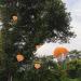 Kesote 6x Parachute Toy - Outdoor Hand-Throw Flying Toys for Kids | Perfect Dragon Party & Birthday Gifts (4 Colors) - Buy Online on GoSupps.com